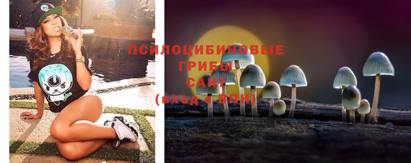 марки lsd Богданович
