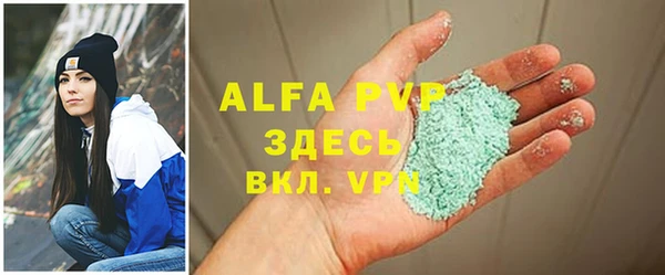 дживик Богородск