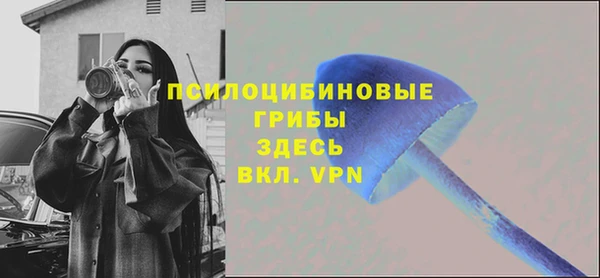 дмт Богородицк