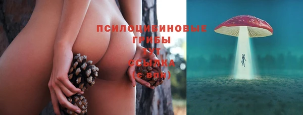 марки lsd Богданович