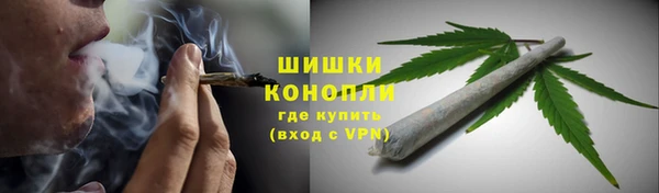 дживик Богородск