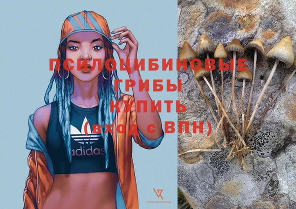 дмт Богородицк