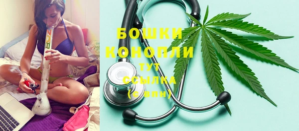 дживик Богородск